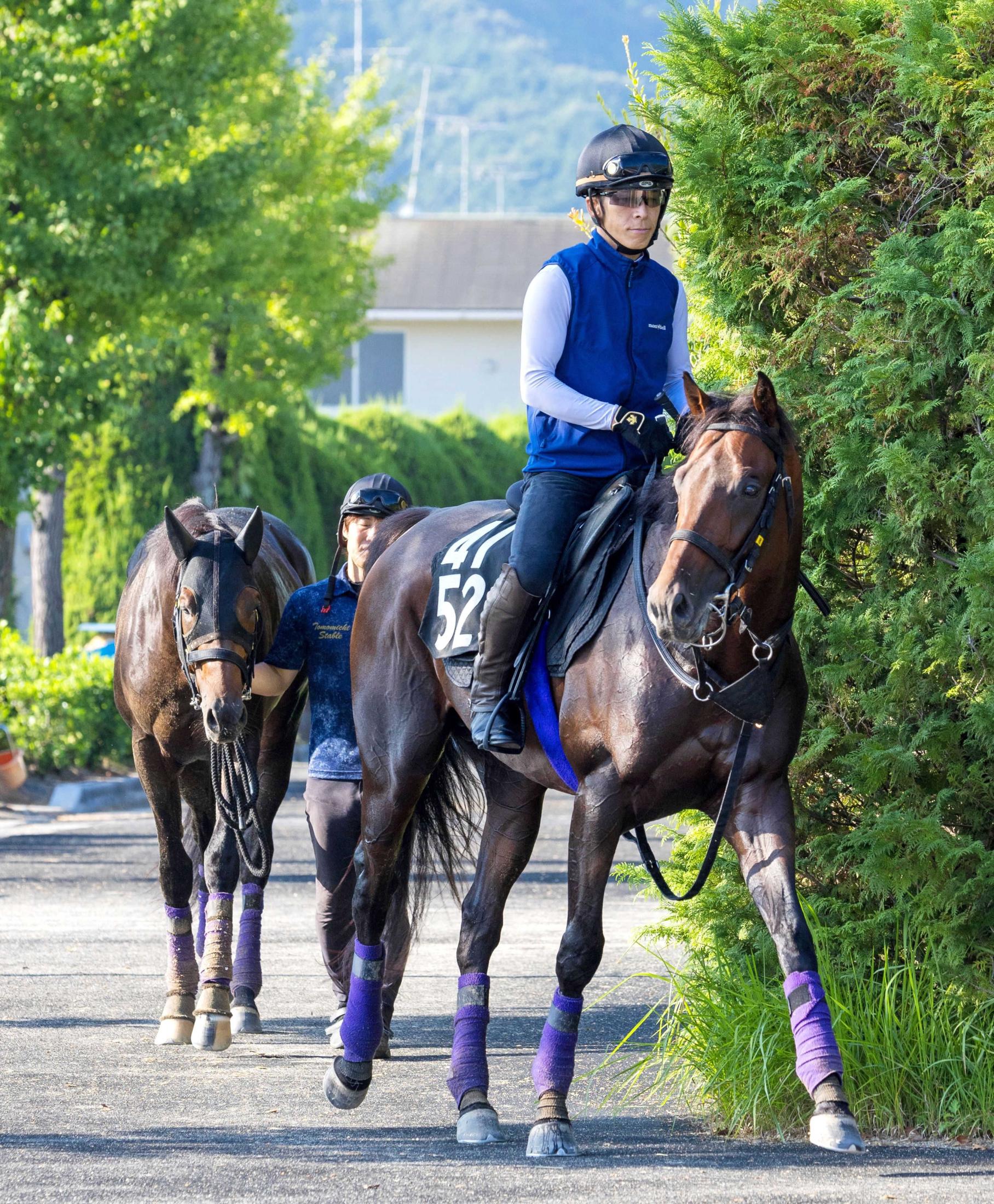 【神戸新聞杯】ライトトラック　名門・友道厩舎の秘密兵器だ　２戦２勝で底見せず、一気の距離延長も問題なし