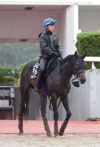 【神戸新聞杯】友道厩舎のショウヘイが“ショータイム”演じる「ダービー3着馬として結果を残したい」