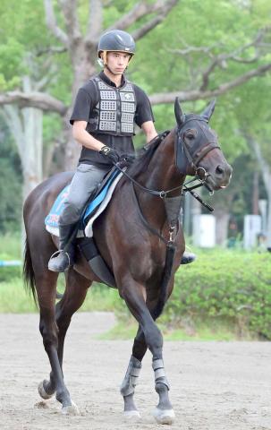 【オールカマー】1年半ぶり勝利へ上昇ムード　コスモキュランダが実績十分な中山で巻き返す
