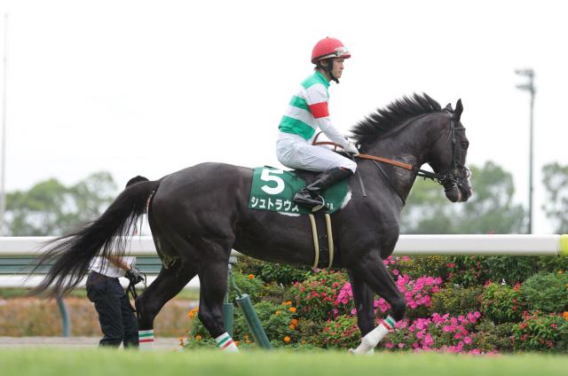 【注目馬動向】シュトラウスが豪G1・ラッセルボールディングSへの出走を視野　賞金総額300万豪ドル