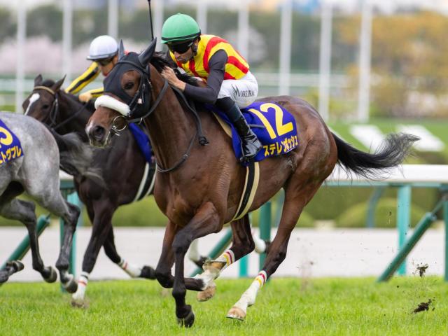 半姉は桜花賞馬のステレンボッシュ クランズクラウンがデビュー勝ちなるか