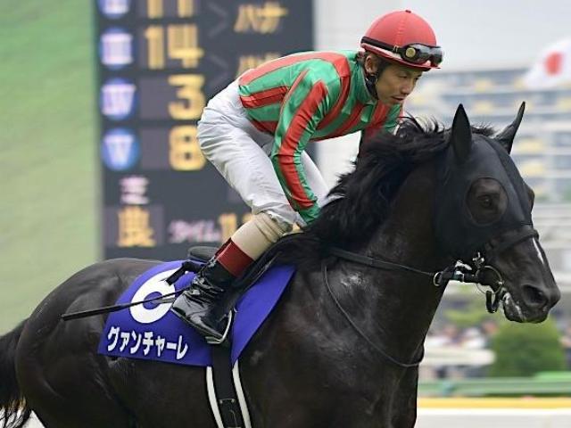 北出成人厩舎の初の1億円馬 コスモフィレンツェがデビュー勝ちなるか