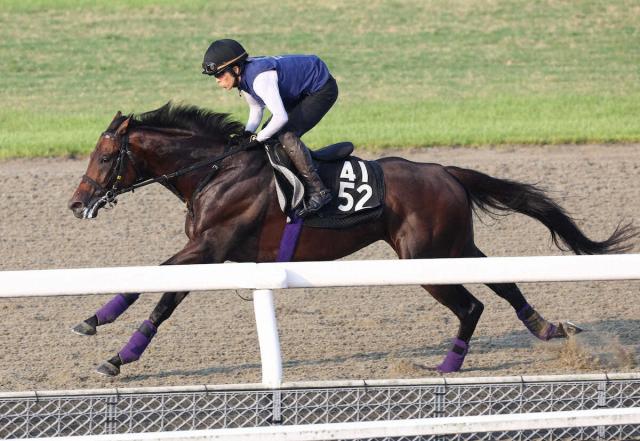 【神戸新聞杯】ライトトラック好調!単走1F11秒9　友道師「ひと夏を越して体はしっかりした」