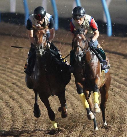 【神戸新聞杯】パッションリッチ　しっかりと負荷　久保田師「いい雰囲気」
