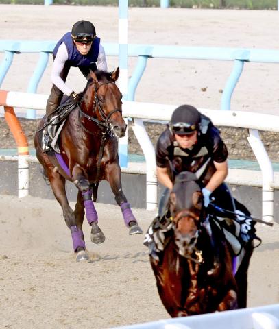 【神戸新聞杯】ライトトラックが菊花賞挑戦へ弾みつける　友道調教師「2400メートルぐらいがちょうどいい」