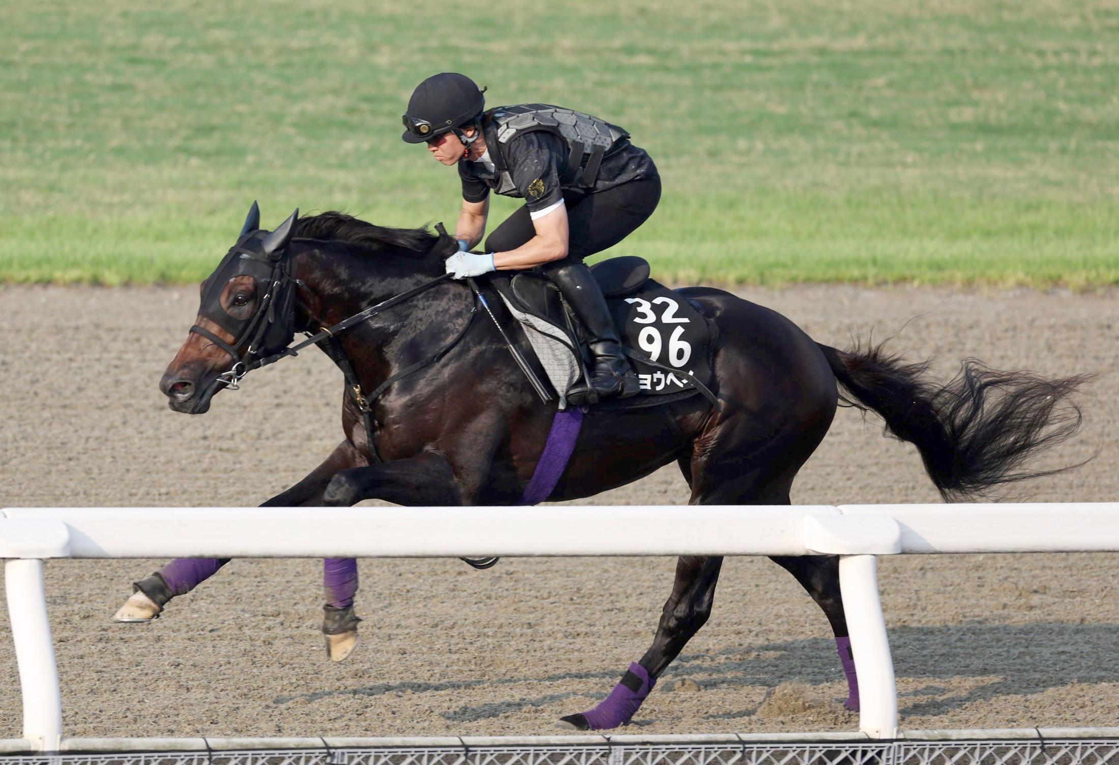 【神戸新聞杯】ショウヘイ　ダービー３着馬が夏経て迫力アップ！好走パターン栗東ＤＰで加速　友道師「今回は調教がいい」