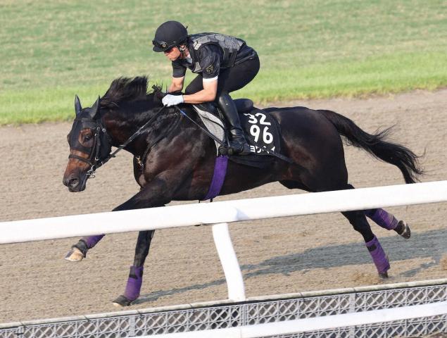 【神戸新聞杯】ショウヘイ進化!軽快に伸びた　友道師が納得「いい感じに仕上がった」