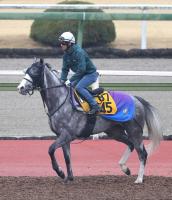 浜中とゴールデンスナップ