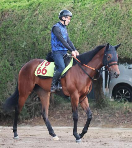【POG】スイープセレニティの祖母はG1馬スイープトウショウ　宮田敬介調教師「舞い上がらなければ好勝負」