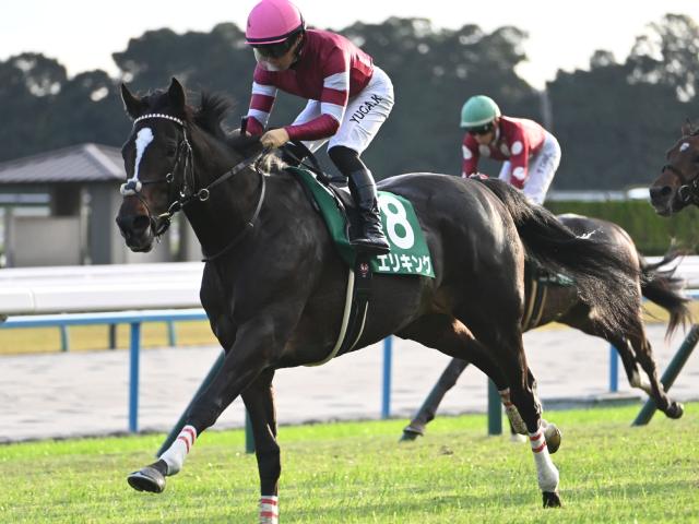 【神戸新聞杯出走馬・騎手確定】エリキング＆川田将雅騎手、ショウヘイ＆坂井瑠星騎手など10頭