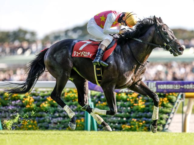 【阪神JS出走馬・騎手確定】ジューンベロシティ＆高田潤騎手、ネビーイーム＆小牧加矢太騎手など9頭