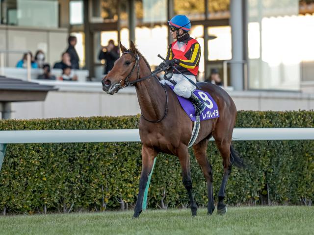 【オールカマー出走馬・騎手確定】レガレイラ＆戸崎圭太騎手、ドゥラドーレス＆C.ルメール騎手など11頭