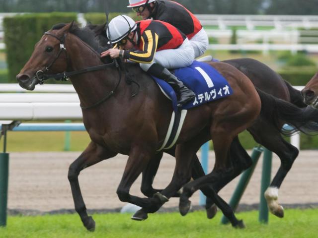 半兄はマイルCS覇者のステルヴィオ カルロットが武豊騎手で初陣Vなるか