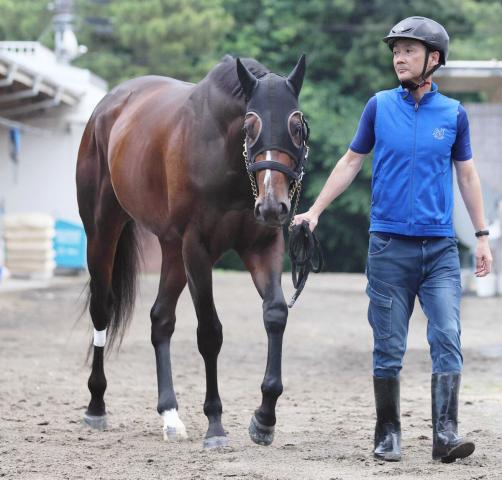 【注目馬動向】シックスペンスの次走は南部杯を予定　芝のG2・3勝馬がダートに初挑戦