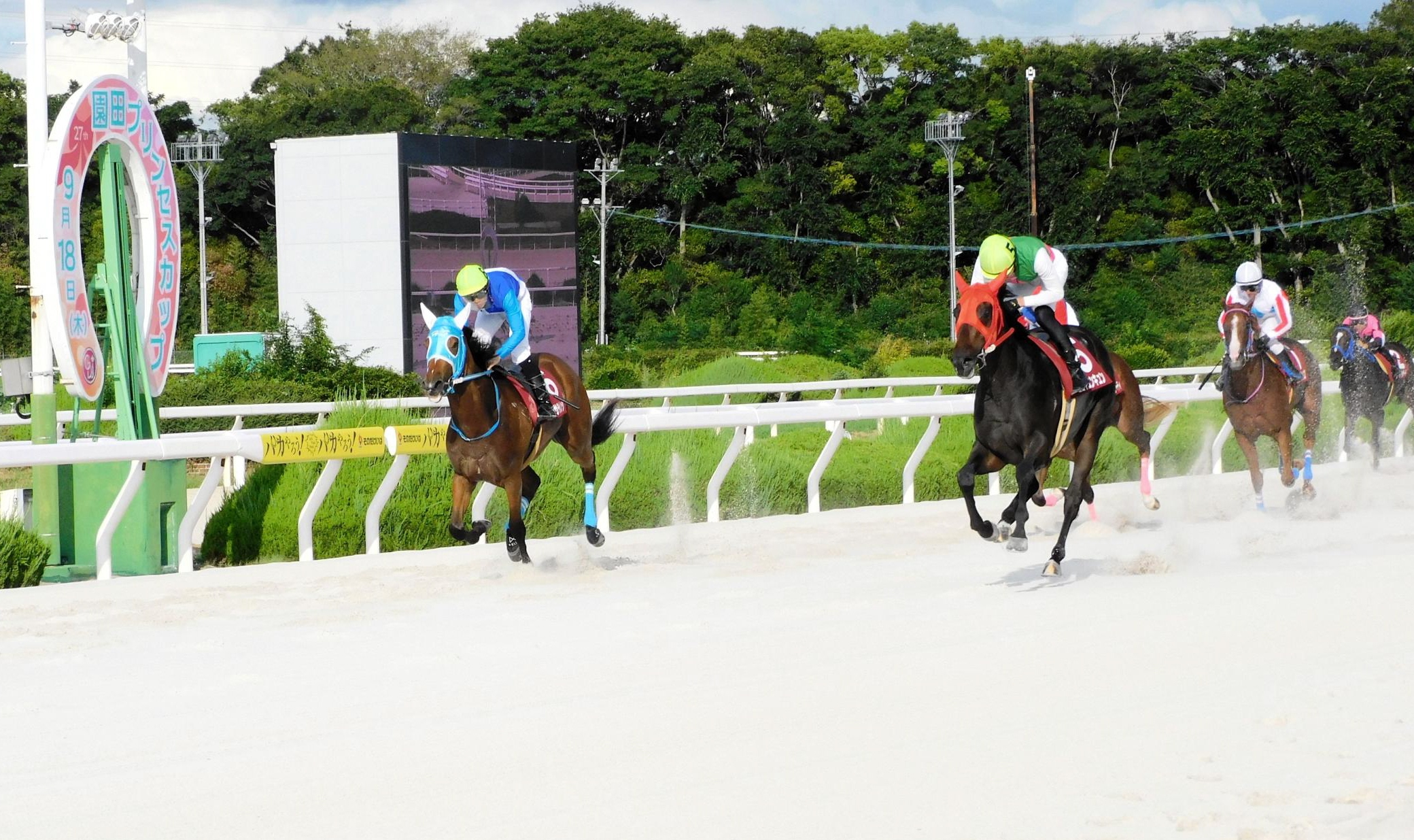 【地方競馬】園田プリンセスカップ　地元のココキュンキュンが重賞初制覇