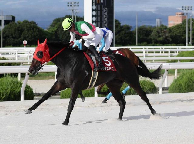 【園田競馬　スポニチ賞園田プリンセスC】ココキュンキュンが重賞初V　山本咲は愛妻の誕生日飾った