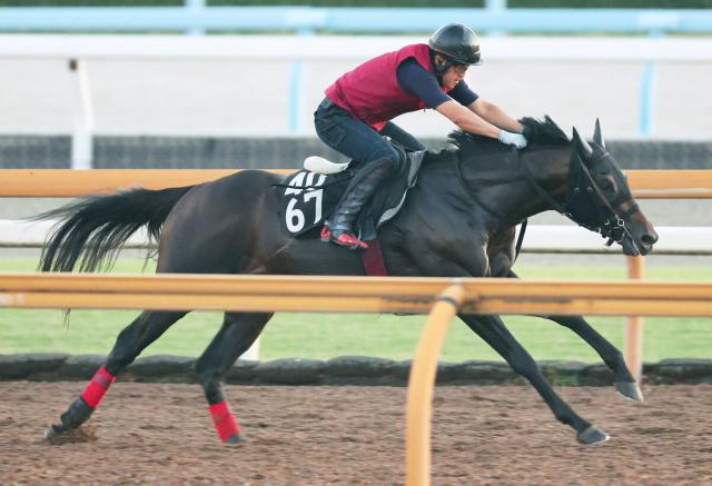 【神戸新聞杯】ボンドロア、伸びたラスト11秒5!松永幹調教師も「今日はよかったね」