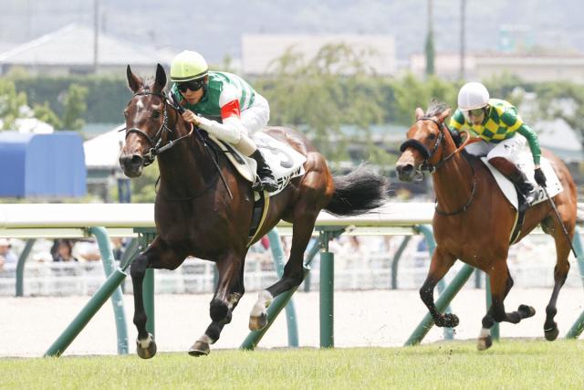 オークス馬シンハライトが母のアランカール、野路菊Sで連勝狙う　メイショウサムソン、ワグネリアン制した出世レース