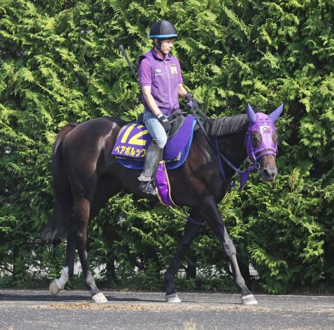 【スプリンターズS】ペアポルックス、CWコースで79秒4―11秒2　梅田調教師「上がってきてもケロっとしている」