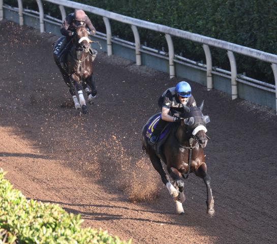 【スプリンターズS1週前追い】ナムラクレア“猛時計”　ルメールを背に坂路4F49秒8