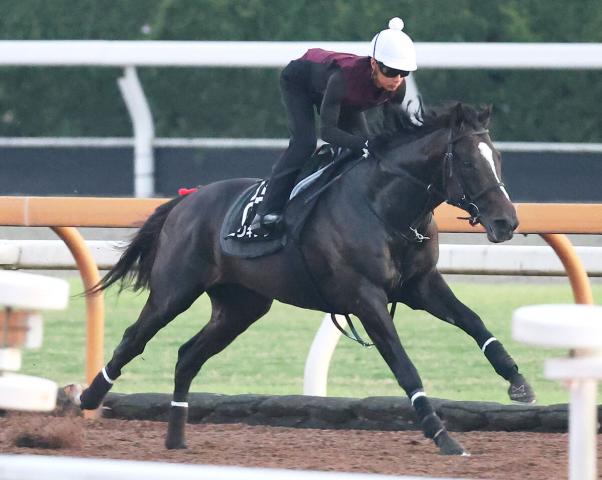 【神戸新聞杯】ダービー5着のエリキング優勢　ヒモ穴として1勝クラス組を狙うならボンドロア