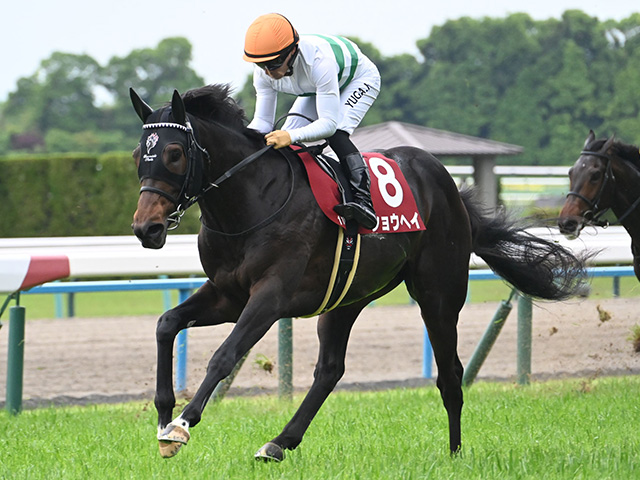 【神戸新聞杯枠順確定】ショウヘイは5枠5番、エリキングは8枠10番