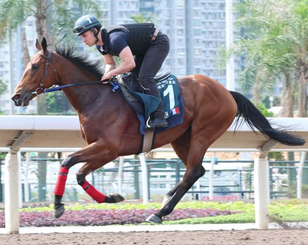 ゴリアットが今年もジャパンC参戦　有馬記念に転戦する可能性も　馬主が表明