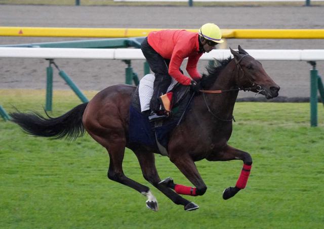 ゴリアット　ジャパンCから有馬記念に転戦プラン浮上　米国人馬主がXで発表