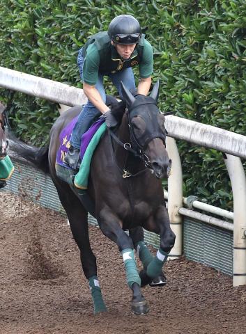昨年の2歳女王アルマヴェローチェが左前浅屈腱炎を発症　桜花賞&amp;オークス2着　全治9か月以上