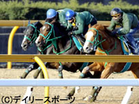 テイラーバートン、3頭併せで輝き増す/フェアリーS追切情報