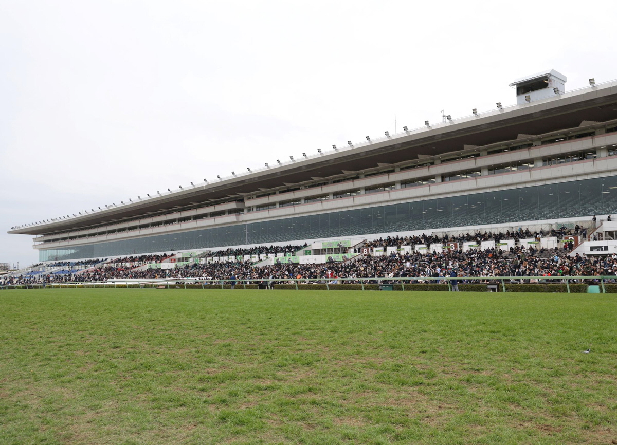 【新馬戦】ロードカナロア産駒サンブライト　首差で退けた　横山武「先々が一層楽しみ」将来性を評価