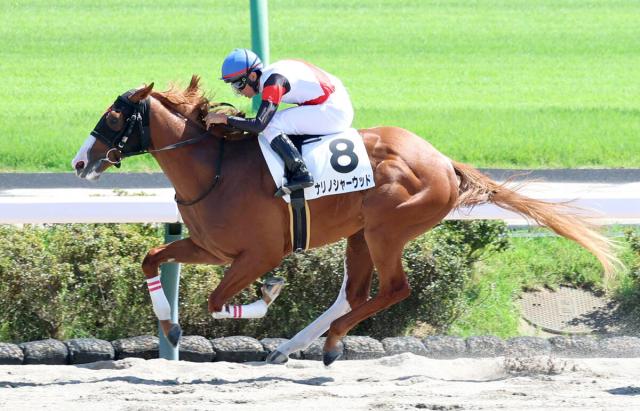【中山4R・2歳新馬】7番人気のナリノシャーウッドが押し切る　岩田望来騎手「いい形で走ってくれた」