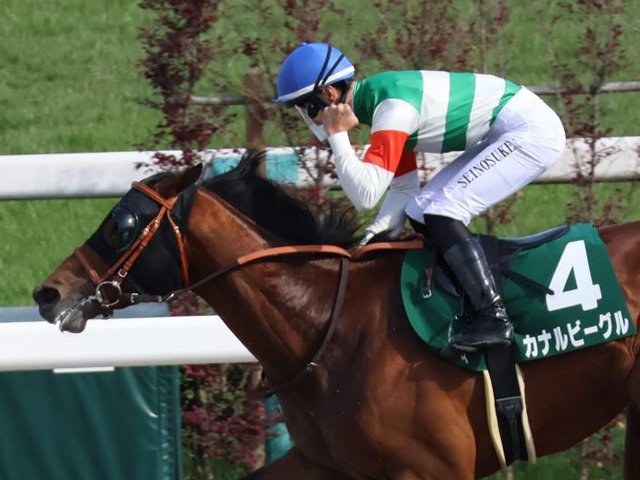 【シリウスS展望】データから優位な3歳馬カナルビーグルに注目