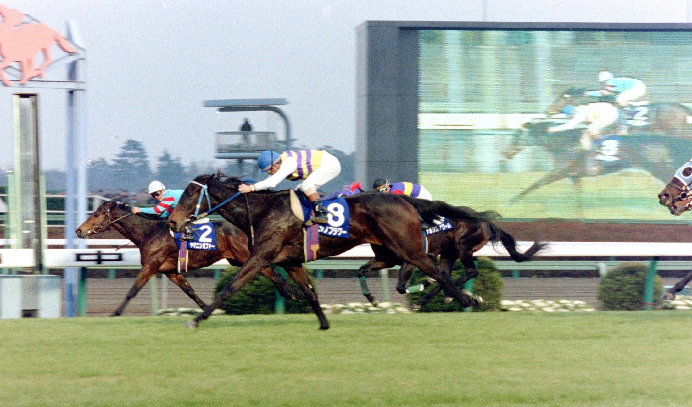 首差に泣いたヤマニンゼファー　忘れられぬ９２年スプリンターズＳ　完璧過ぎても勝てない競馬の奥深さ