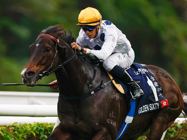 G1・10勝ゴールデンシックスティが馬場馬術に挑戦 28日の「引退競走馬杯」にて