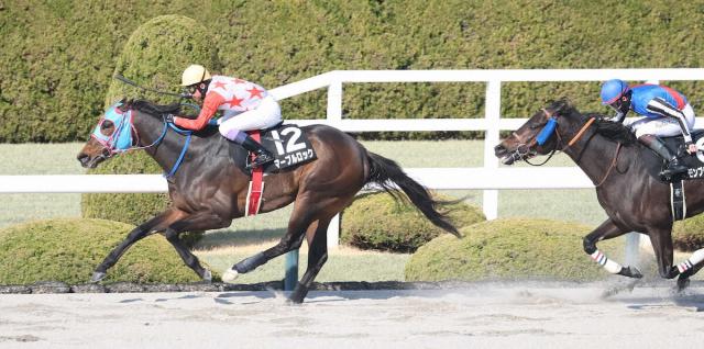 マーブルロックは武豊とのコンビ継続で日本テレビ盃へ