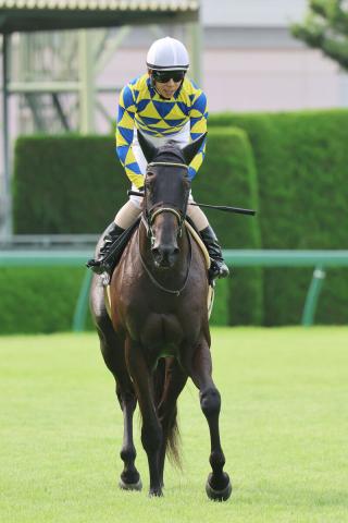 【注目馬動向】2連勝中のグローリーリンクは状態次第で秋華賞を視野　吉岡調教師「大方、向かう予定です」