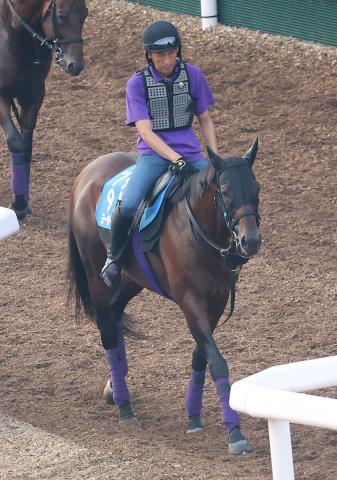 【注目馬動向】ヨーホーレイクはジャパンCへ　ショウヘイ、ライトトラックは菊花賞に向かう