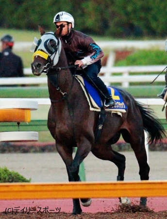 キタサンブラック鞍上北村宏「距離は…馬に頑張ってもらいます」/菊花賞 | 競馬ニュース - netkeiba