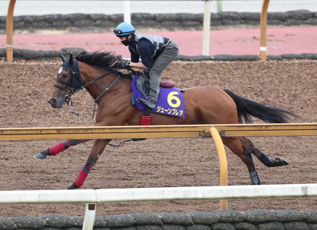 【スプリンターズS】ジューンブレア上昇4F53秒0　武英師「動きも理想通り」