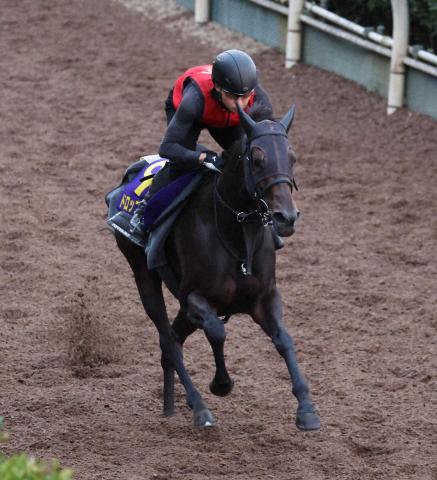 【スプリンターズS】ドロップオブライト　しまい伸ばした1F12秒2「一発に期待したい」