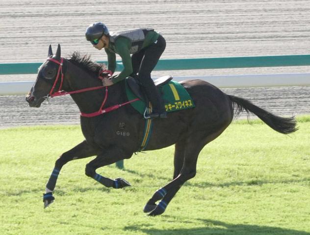 米国遠征中のミルコ・デムーロ騎手が現地4勝目 G2は落馬で競走