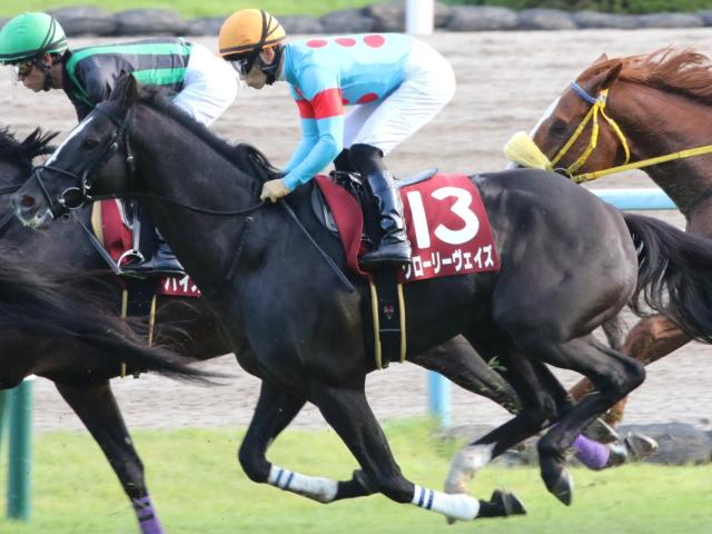グローリーヴェイズの22年ぶり関東馬Vから5年 今年も尾関厩舎の勝利なるか
