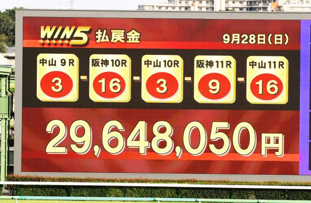 28WIN5ۺǸ11ֿ͵󥫡ͥꥢVĤɼ988%äʧ2964Ķ