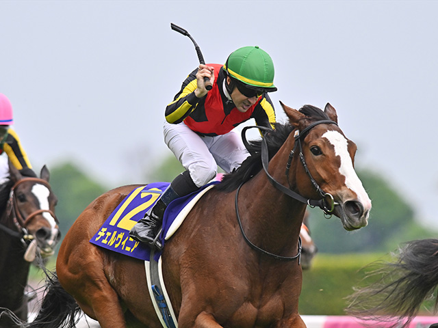 【毎日王冠枠順確定】チェルヴィニアは6枠6番、サトノシャイニングは8枠10番