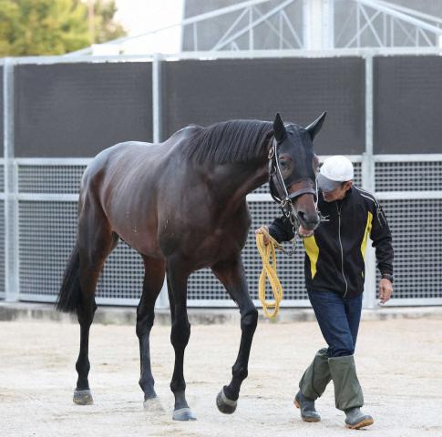 【京都大賞典】ヴェルテンベルク&amp;ボルドグフーシュ　宮本厩舎が開幕週重賞に2頭送り出す!