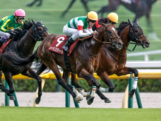 【毎日王冠レース後コメント】レーベンスティール津村明秀騎手ら