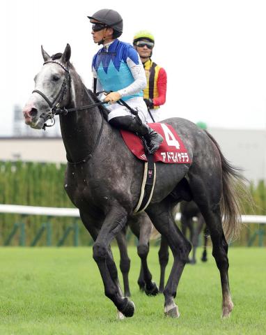 ڵŵ1ֿ͵ɥޥƥϿڤ줺4塡ľϾŦ | ľե륵