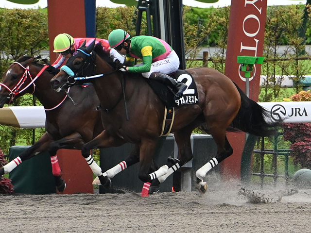 【藤森S結果】タガノミストがゴール前で差し切り2連勝