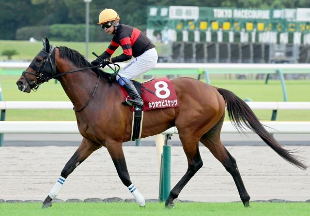 【毎日王冠】逃げたホウオウビスケッツ惜しくも半馬身差2着　岩田康誠騎手「やっぱり走る馬」